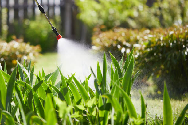 24/7 Emergency Ant Control experts in Butte, AK